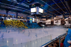 Säsongen 2008-2009